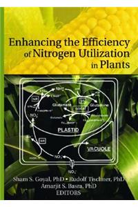 Enhancing the Efficiency of Nitrogen Utilization in Plants