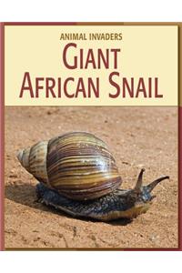 Giant African Snail
