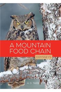 Mountain Food Chain