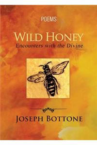 Wild Honey: Encounters with the Divine