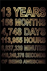 13 Years Of Being Awesome