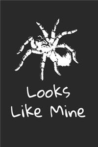 Looks Like Mine tarantula notebook