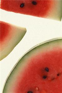 2020 Daily Planner Food Juicy Watermelon Slices Book 388 Pages