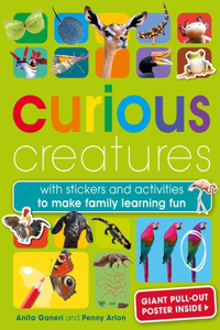 Curious Creatures