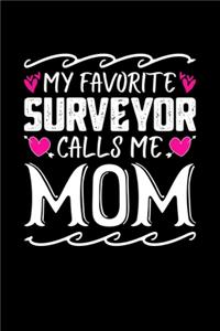 My Favorite Surveyor Calls Me Mom