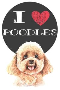 I Heart Poodles