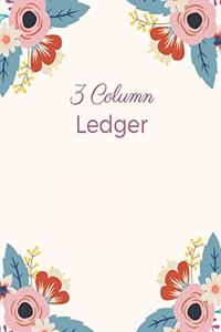 3 Column Ledger