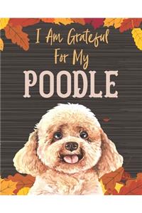 I Am Grateful For My Poodle