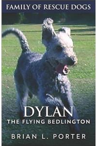 Dylan