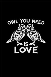 Owl you need is love