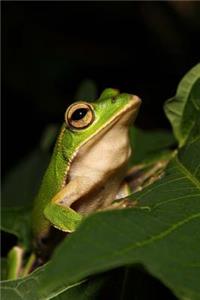 Emerald Eyed Tree Frog Journal
