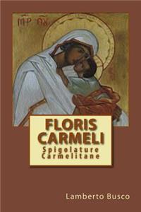 Floris Carmeli