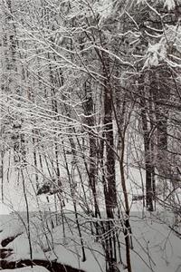 2019 Daily Planner Winter Scenic Snowstorm 384 Pages