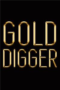 The Gold Digger Audiobook by Liz Tolsma - Free Sample