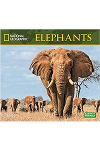 National Geographic Elephants 2018 Wall Calendar