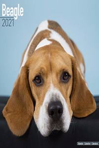 Beagle 2021 Wall Calendar