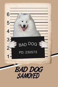 Bad Dog Samoyed
