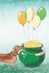 Dachshund