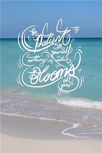 Be patient with yourself, nothing in nature blooms all year