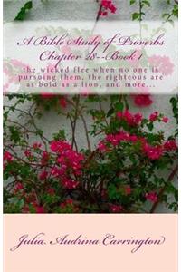 A Bible Study of Proverbs Chapter 28--Book 1