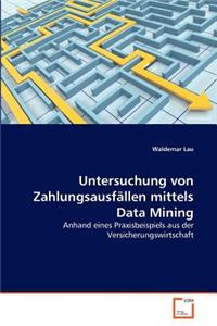 Untersuchung von Zahlungsausfällen mittels Data Mining