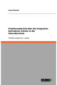 Praktikumsbericht über die Integration behinderter Schüler in die Sekundarschule