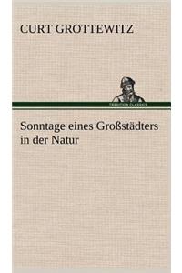 Sonntage Eines Grossstadters in Der Natur
