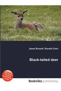 Black-Tailed Deer