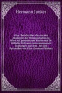 Giza: Bericht uber die von der Akademie der Wissenschaften in Wien auf gemeinsame Kosten mit Dr. Wilhelm Pelizaeus unternommenen Grabungen auf dem . bei den Pyramiden von Giza (German Edition)