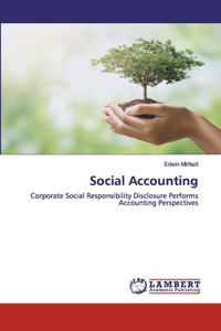 Social Accounting