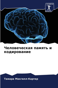 Человеческая память и кодирование