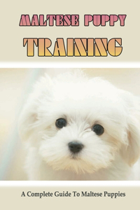Maltese Puppy Training- A Complete Guide To Maltese Puppies