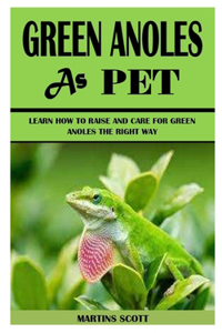 Green Anoles as Pet