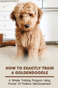 How To Exactly Train A Goldendoodle