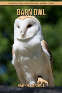 Barn Owl