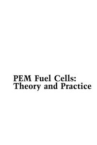 Pem Fuel Cells