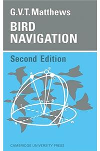 Bird Navigation