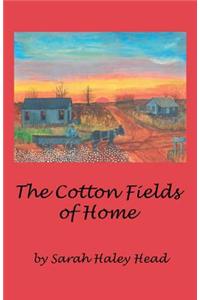 The Cotton Fields of Home