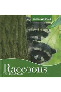 Raccoons