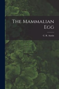 Mammalian Egg