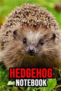 Hedgehog Notebook