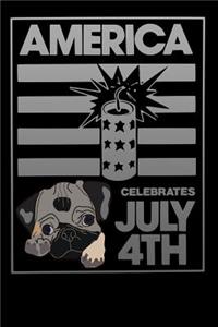 America celebrates july 4th