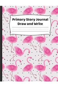 Primary Story Journal - Draw And Write