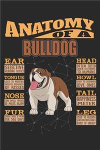 Anatomy Of A Bulldog