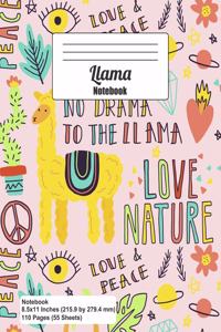 Llama Notebook