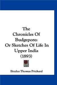 The Chronicles Of Budgepore