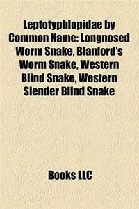 Leptotyphlopidae by Common Name