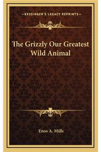 Grizzly Our Greatest Wild Animal