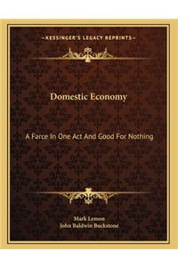 Domestic Economy
