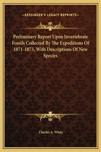 Preliminary Report Upon Invertebrate Fossils Collected By The Expeditions Of 1871-1873, With Descriptions Of New Species